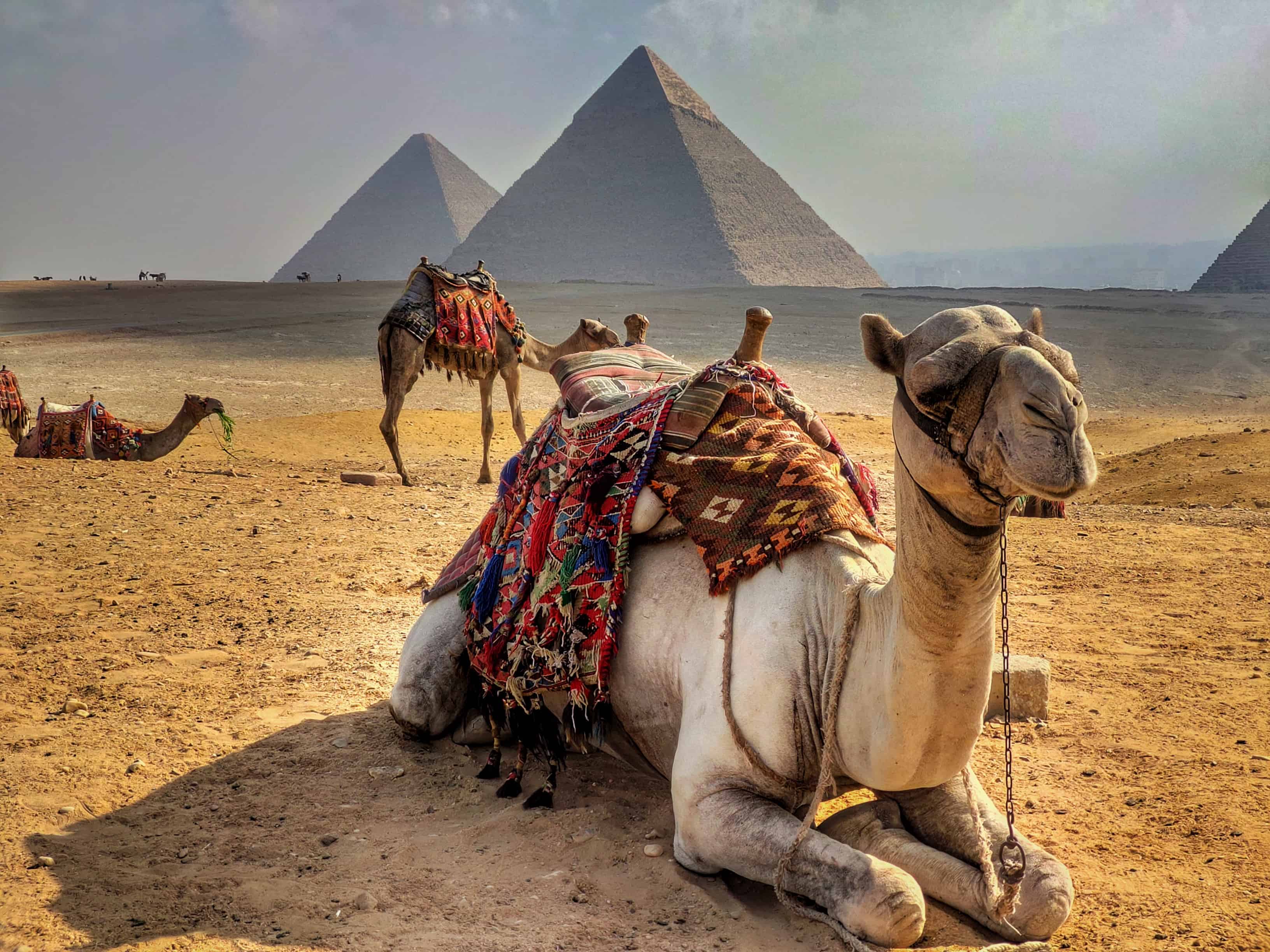 Egyiptom