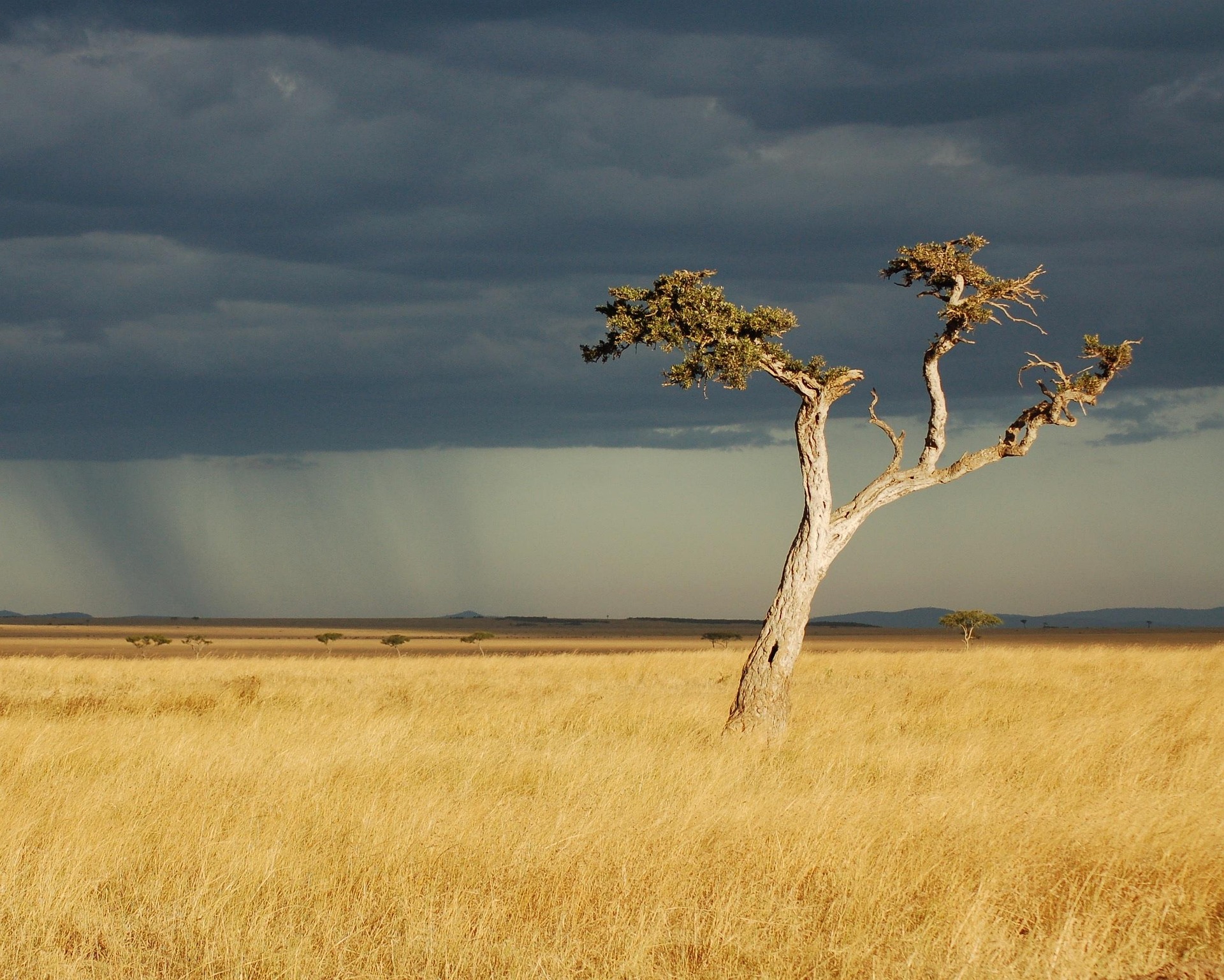 Kenya