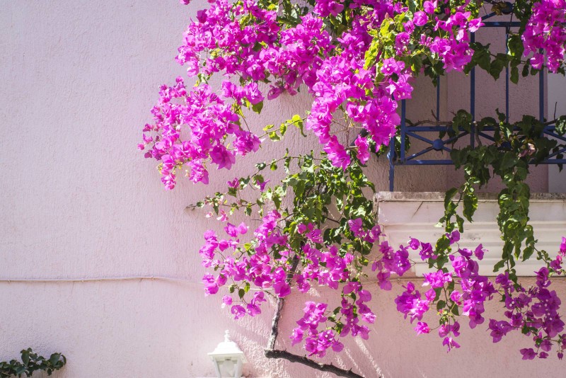 Kefalonia